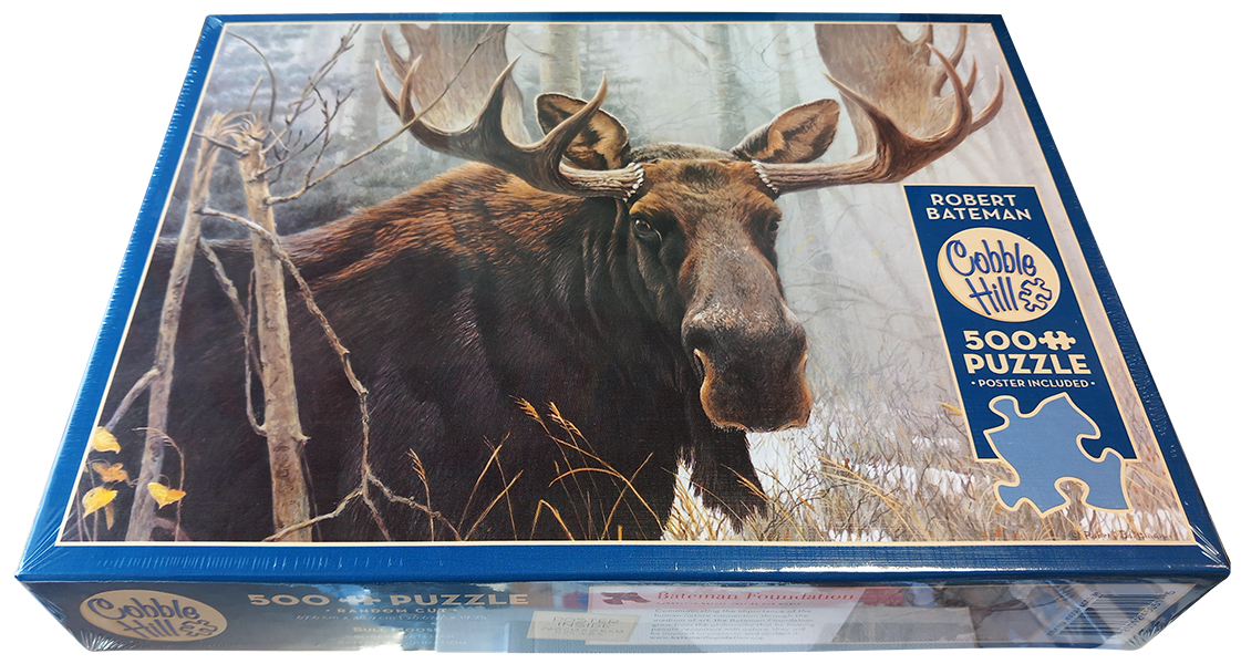 Librairie IMPRESSIONS, La Chaux-de-Fonds // www.impressions.ch