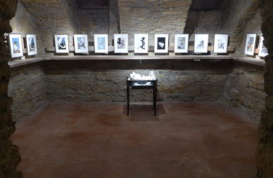 Librairie IMPRESSIONS, La Chaux-de-Fonds // www.impressions.ch