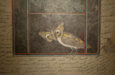 Librairie IMPRESSIONS, La Chaux-de-Fonds // www.impressions.ch