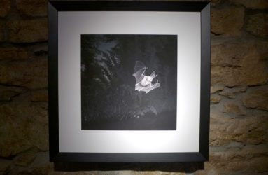 Librairie IMPRESSIONS, La Chaux-de-Fonds // www.impressions.ch