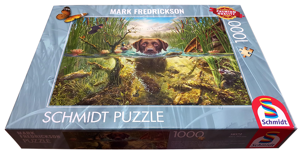 Librairie IMPRESSIONS, La Chaux-de-Fonds // www.impressions.ch