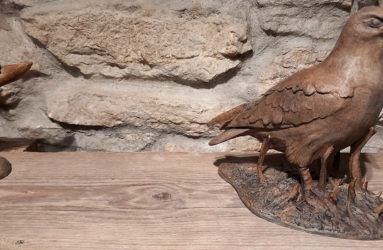 Librairie IMPRESSIONS, La Chaux-de-Fonds // www.impressions.ch